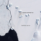 Image for article titled Penguin poop can be seen from space